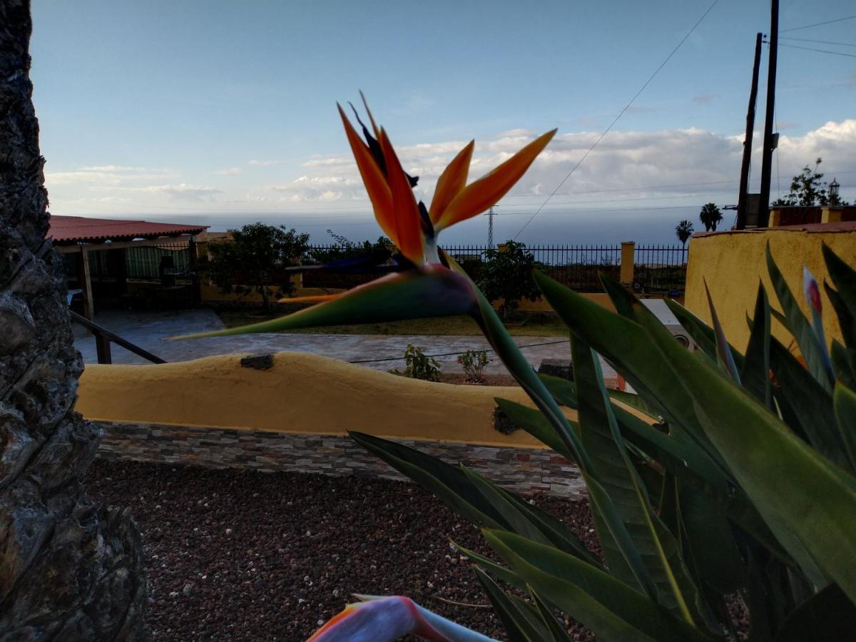Apartamento La Costa Santa Cruz de Tenerife Zewnętrze zdjęcie